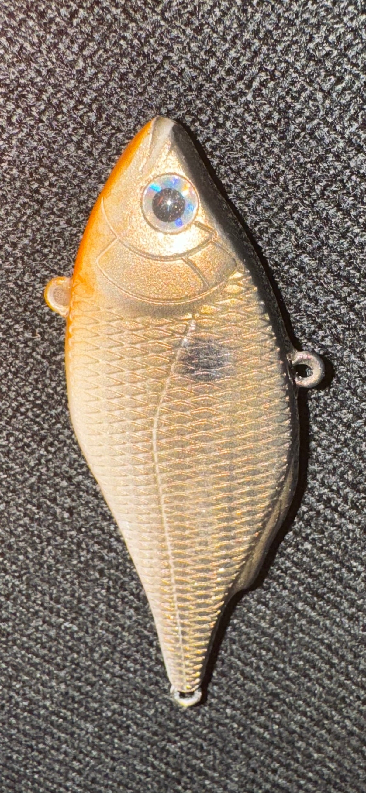 Frenzied Flash Shad